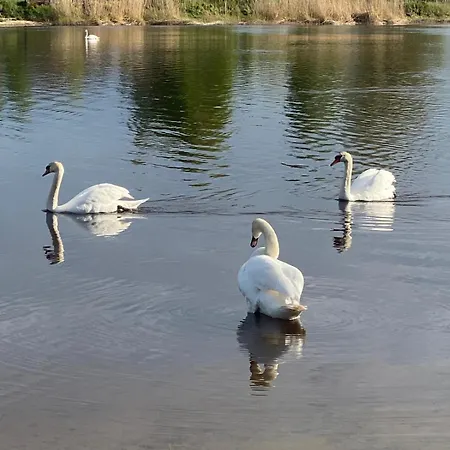 דירה Cozy Family River View Flat Near The Seaside ריגה
