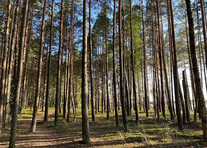 Cozy Family River View Flat Near The Seaside *