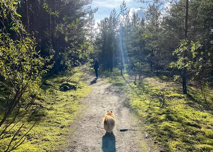 Cozy Family River View Flat Near The Seaside *