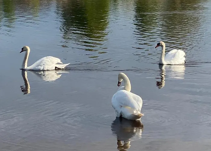 Апартаменты Cozy Family River View Flat Near The Seaside Рига