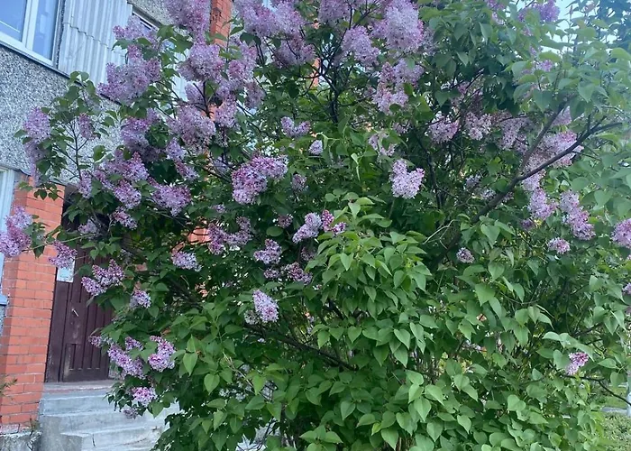 Cozy Family River View Flat Near The Seaside Riga