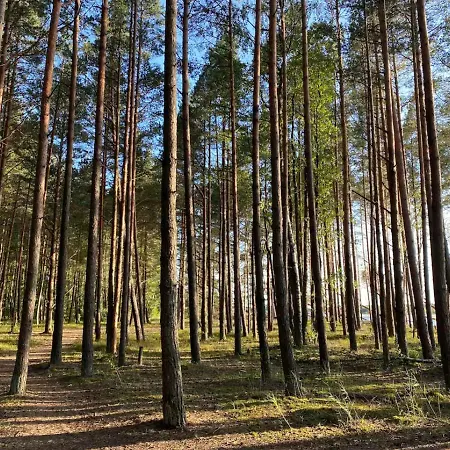 Cozy Family River View Flat Near The Seaside *