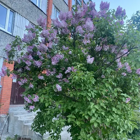 Cozy Family River View Flat Near The Seaside Riga